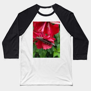 beauty in nature Baseball T-Shirt